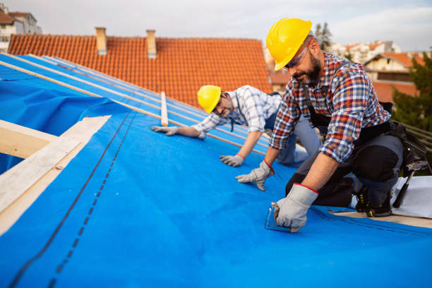 Roof Gutter Cleaning in Stevensville, MT