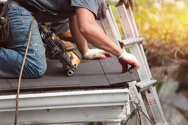 Best Local Roofing Companies  in Stevensville, MT