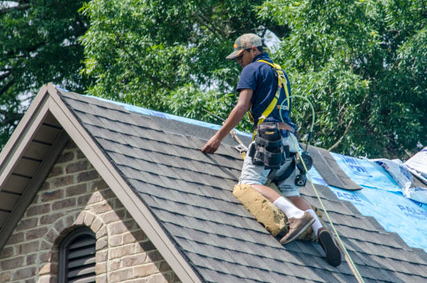 Trusted Stevensville, MT Roofing Contractor Experts
